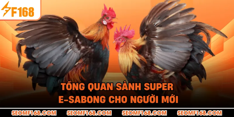 Tổng quan sảnh Super e-sabong cho người mới